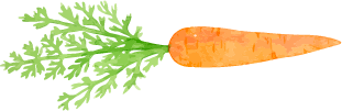 Cenoura